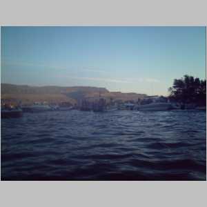 PICT0110.JPG